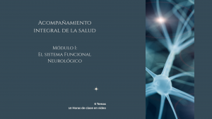 AIS (Módulo 1): El Sistema funcional Neurológico