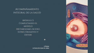 AIS (Módulo 3): Completando el Modelo