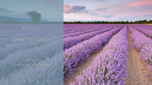 Vitaliza: El Inicio del camino